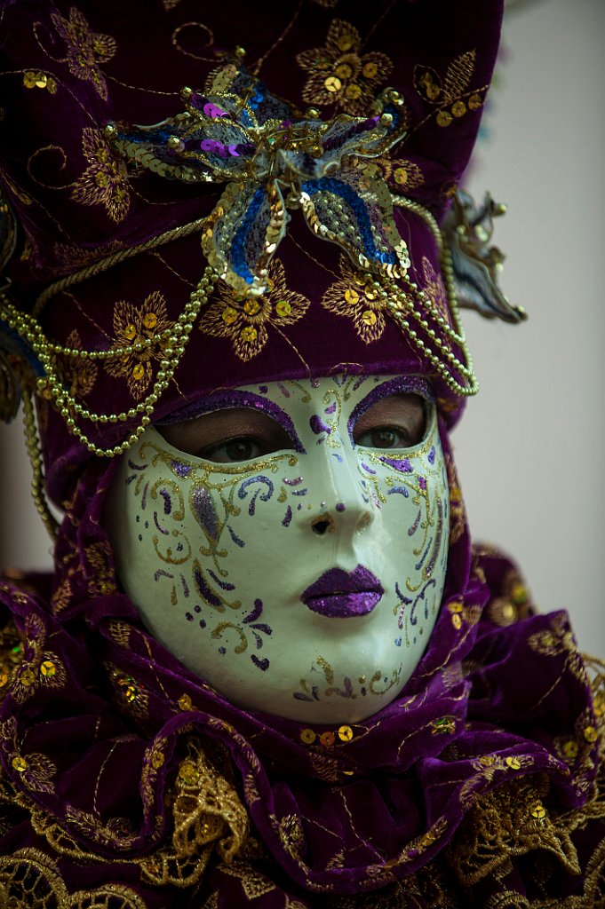 Castiglion Fibocchi Gennaio 2016 (22).JPG